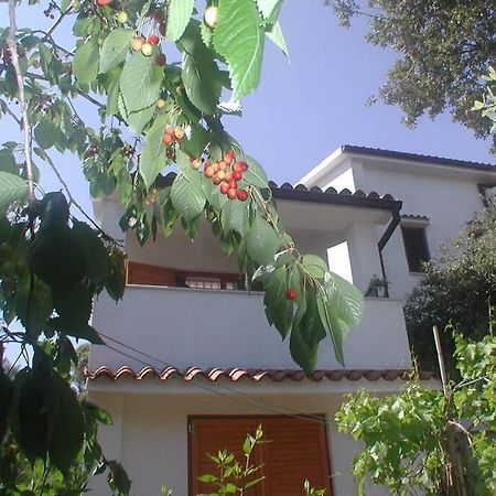 Štinjan-Studio apartment Petrić Pula Bagian luar foto