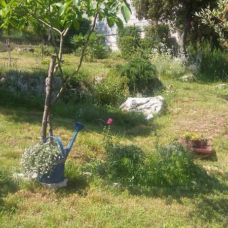 Štinjan-Studio apartment Petrić Pula Bagian luar foto