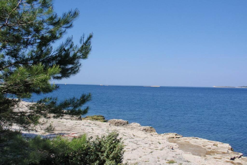 Štinjan-Studio apartment Petrić Pula Bagian luar foto