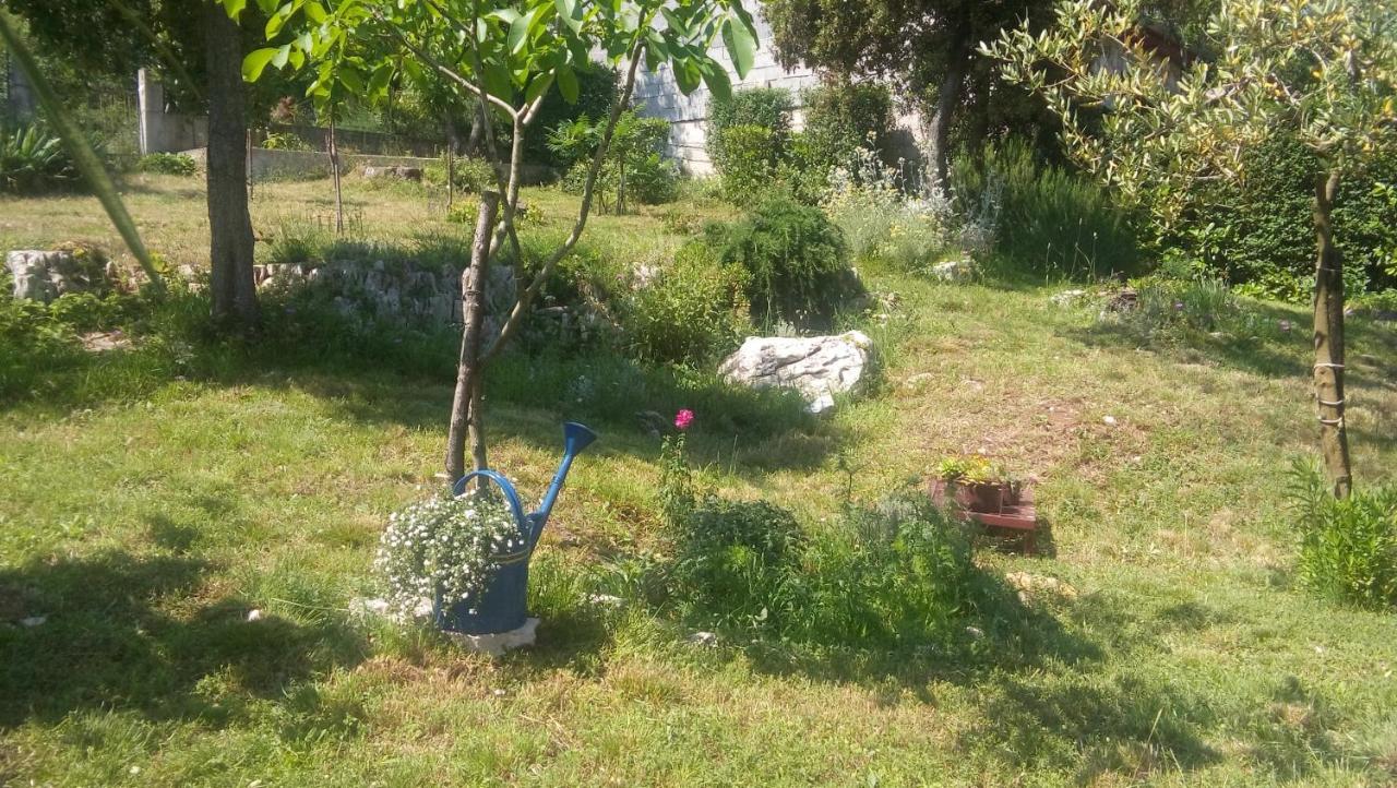 Štinjan-Studio apartment Petrić Pula Bagian luar foto